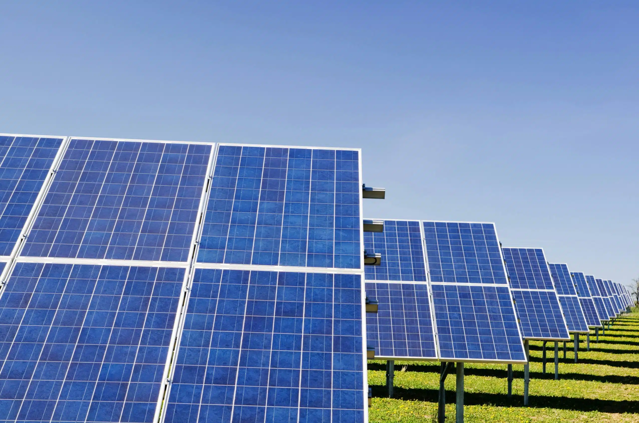 Solar renewable plant