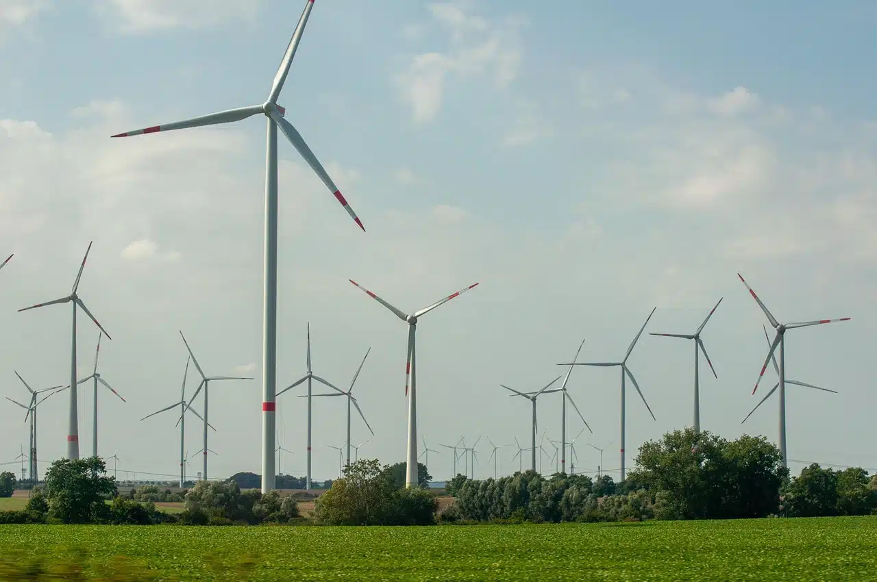 Wind farm projects