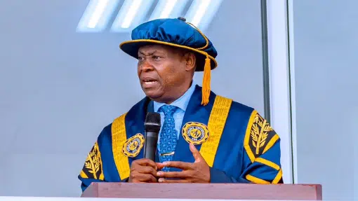 Key details of Nigerian billionaire, Deji Adeleke’s, newly unveiled $2 billion power plant