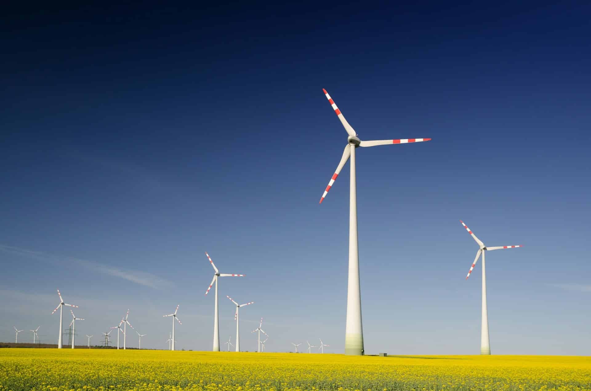 Rwanda to sell carbon credits to Singapore under Paris Agreement deal